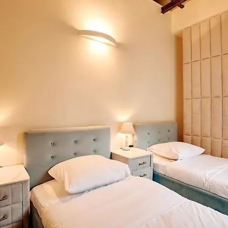 Spacious Flat - Champs Elysees