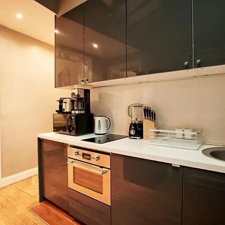 Spacious Flat - Champs Elysees Apartment Paris